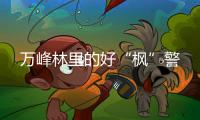 萬峰林里的好“楓”警