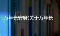 萬年長安府(關(guān)于萬年長安府簡述)