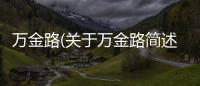 萬金路(關于萬金路簡述)