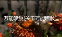 萬(wàn)能噴膠(關(guān)于萬(wàn)能噴膠簡(jiǎn)述)