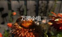 萬能小組