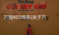 萬能403焊條(關于萬能403焊條簡述)
