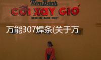 萬能307焊條(關于萬能307焊條簡述)