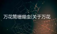 萬花筒珊瑚蟲(關于萬花筒珊瑚蟲簡述)