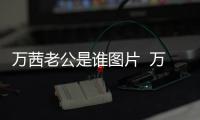 萬茜老公是誰圖片  萬茜所有的私密照都是老公拍攝的
