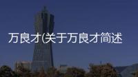 萬良才(關于萬良才簡述)