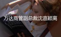 萬達商管副總裁沈嘉穎離職，孫亞洲接任
