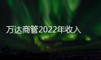 萬達商管2022年收入約553億元,55個萬達廣場開業