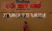 萬飛燕(關于萬飛燕簡述)
