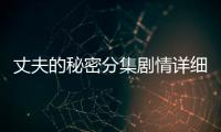 丈夫的秘密分集劇情詳細(xì)介紹(1