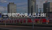 三爺您的小夫人已上線(關(guān)于三爺您的小夫人已上線簡述)