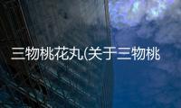 三物桃花丸(關于三物桃花丸簡述)
