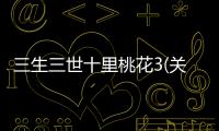 三生三世十里桃花3(關于三生三世十里桃花3簡述)