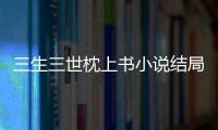 三生三世枕上書小說結局鳳九醒過來了嗎（三生三世枕上書小說結局）