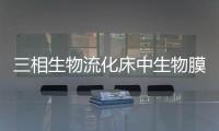 三相生物流化床中生物膜厚度研究