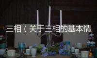 三相（關(guān)于三相的基本情況說明介紹）