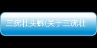 三疣壯頭蛛(關于三疣壯頭蛛簡述)
