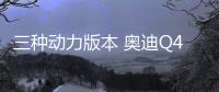 三種動力版本 奧迪Q4 e