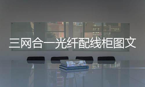 三網合一光纖配線柜圖文結合介紹