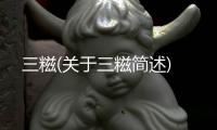 三糍(關(guān)于三糍簡述)