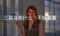 三翼鳥賣什么？不如看看它不賣什么