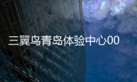 三翼鳥青島體驗中心001客單價20萬！場景品牌引領超傳統家電