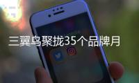 三翼鳥聚攏35個品牌月銷3000萬，場景是王道