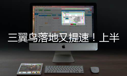 三翼鳥落地又提速！上半年開店382家，線上又升級APP