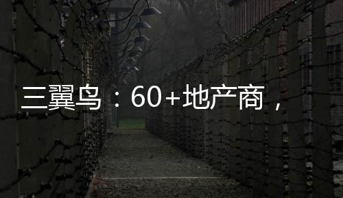 三翼鳥：60+地產商，200+社區