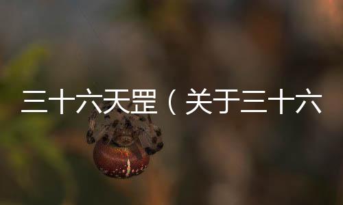 三十六天罡（關于三十六天罡的基本情況說明介紹）