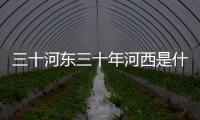 三十河東三十年河西是什么意思 三十年河東三十年河西什么意思