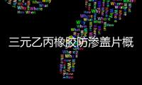 三元乙丙橡膠防滲蓋片概括
