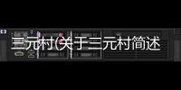 三元村(關(guān)于三元村簡述)