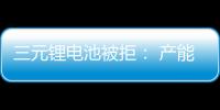 三元鋰電池被拒： 產能過剩與技術路線之爭