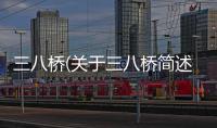 三八橋(關于三八橋簡述)