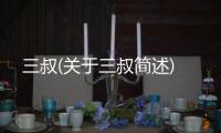 三叔(關(guān)于三叔簡述)