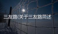 三友路(關(guān)于三友路簡(jiǎn)述)