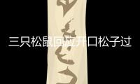 三只松鼠回應開口松子過氧化值超標 三只松鼠有哪些零食