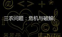 三農(nóng)問題：危機與破解(關(guān)于三農(nóng)問題：危機與破解簡述)