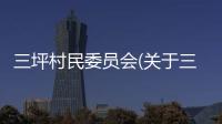 三坪村民委員會(關(guān)于三坪村民委員會簡述)