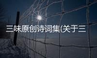 三味原創詩詞集(關于三味原創詩詞集簡述)