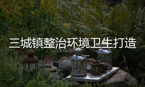 三城鎮整治環境衛生打造文明鄉鎮_