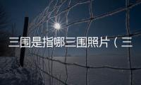 三圍是指哪三圍照片（三圍是指哪三圍）