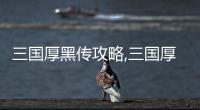 三國(guó)厚黑傳攻略,三國(guó)厚黑傳：權(quán)力斗爭(zhēng)的黑色智慧
