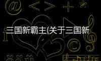三國新霸主(關(guān)于三國新霸主簡述)