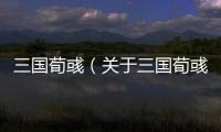 三國荀彧（關于三國荀彧的基本情況說明介紹）