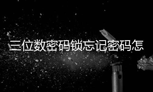 三位數密碼鎖忘記密碼怎么辦，三位數的密碼鎖忘記密碼如何開鎖