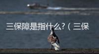 三保障是指什么?（三保障指的是什么）