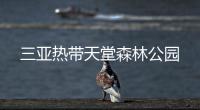 三亞熱帶天堂森林公園