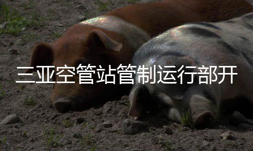 三亞空管站管制運(yùn)行部開展技能比武暨“匠心傳承 師徒結(jié)對”活動